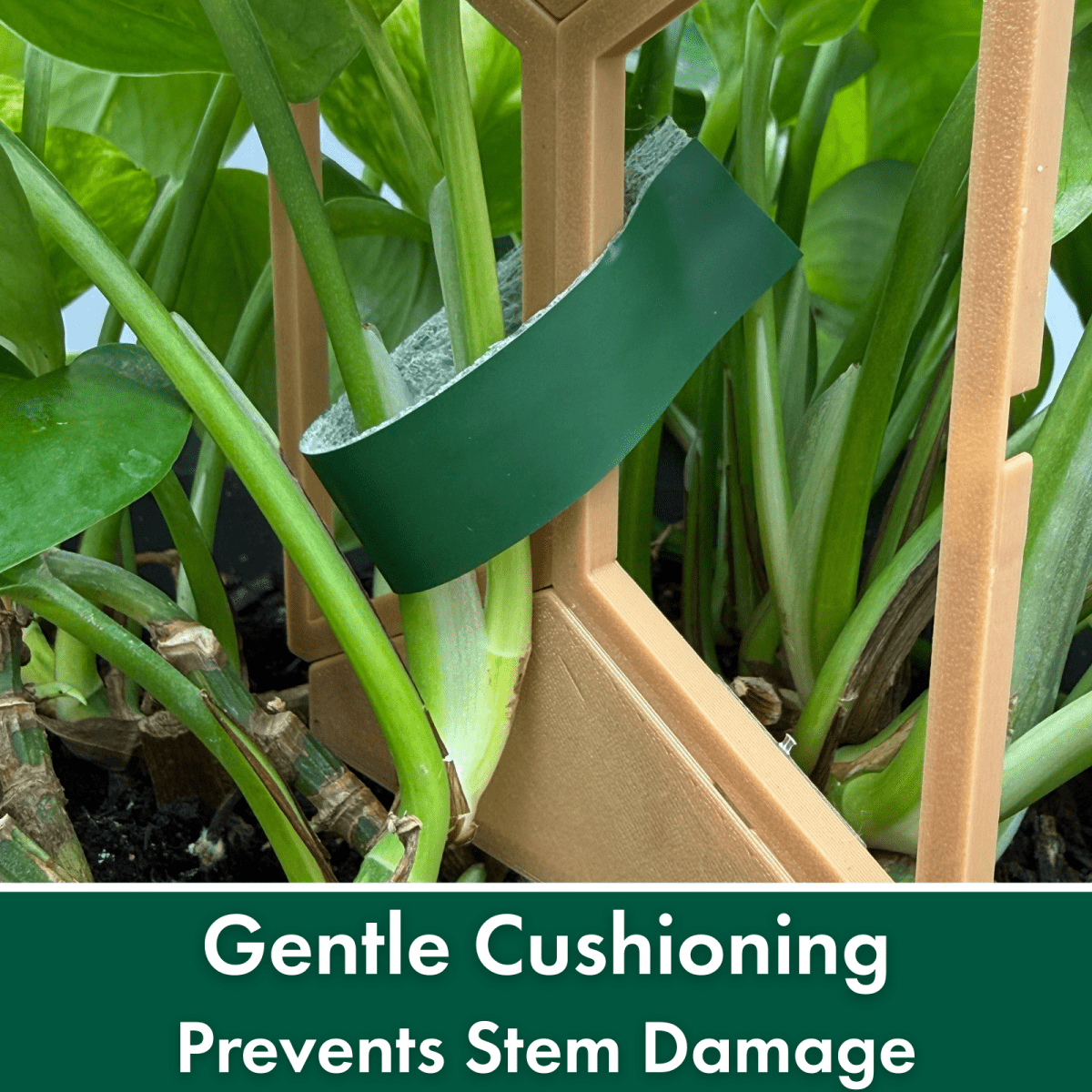 Garden Tape - Super Trellis