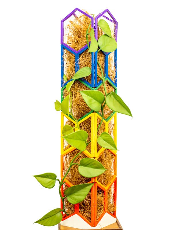 19" Pride Tower - Super Trellis