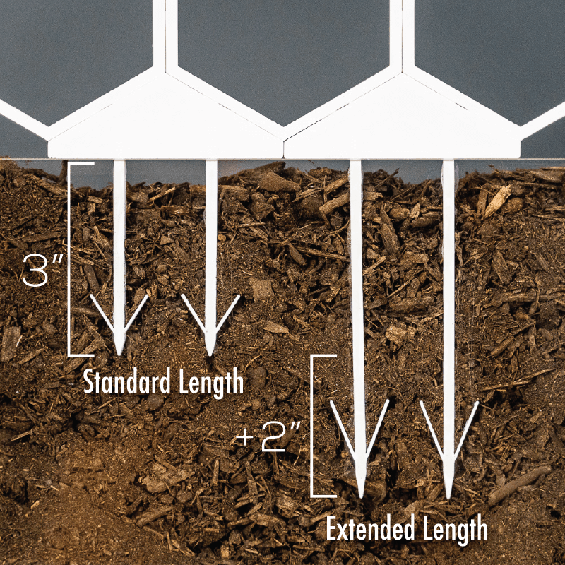 Bases and Stakes - Super Trellis