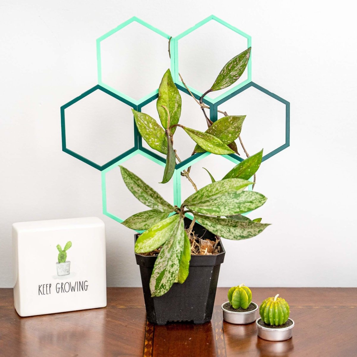 Forest and Mint - Super Trellis