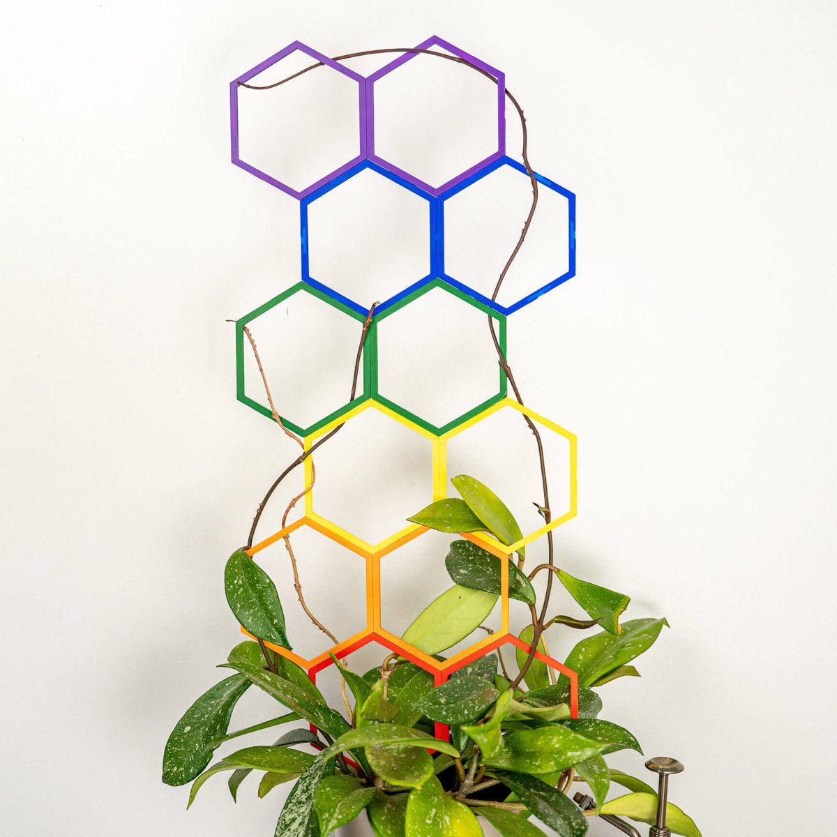 Pride Pack - Super Trellis