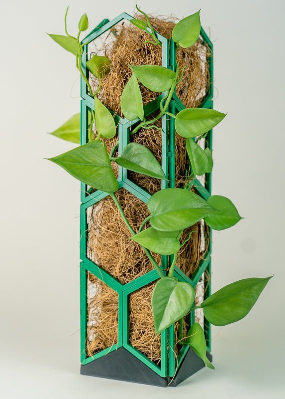 Tower Pack - Super Trellis