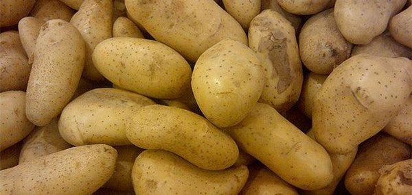 Products Made from Potato(es)