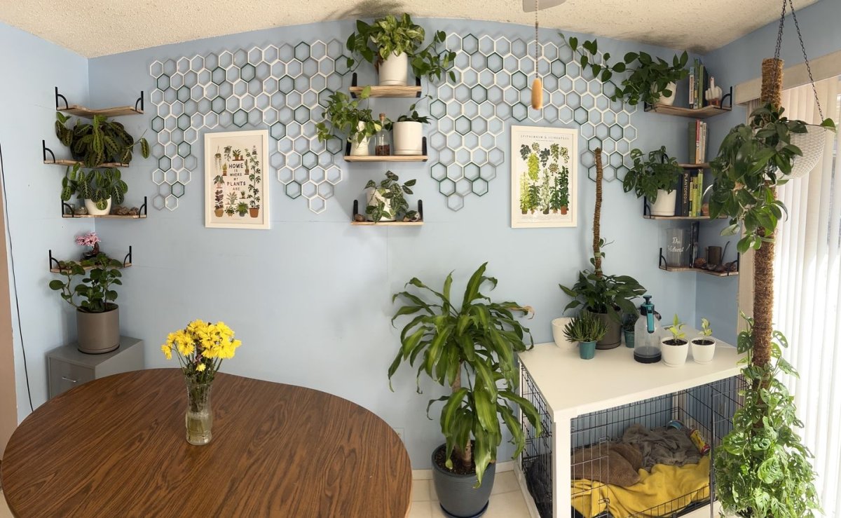 Super Trellis Review: The Best Indoor Plant Trellis for Your Houseplant Garden - Super Trellis