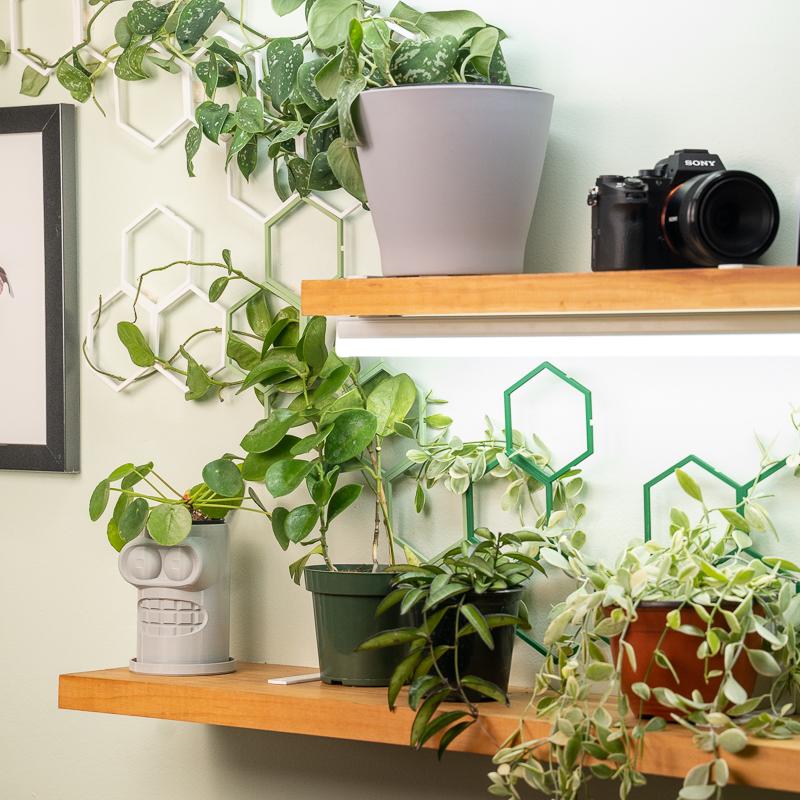 Basic Living Wall Kit 2 - Super Trellis