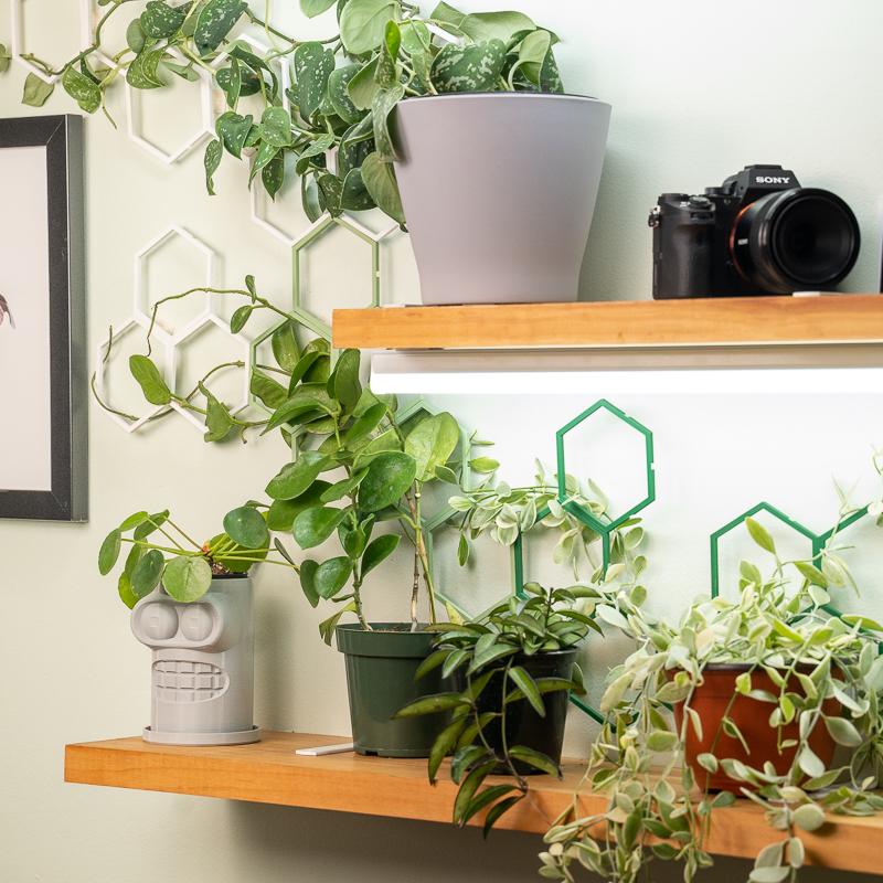 indoor plant wall trellis Basic Wall Kit