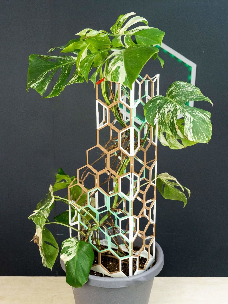 corner trellis planter Corner Kit