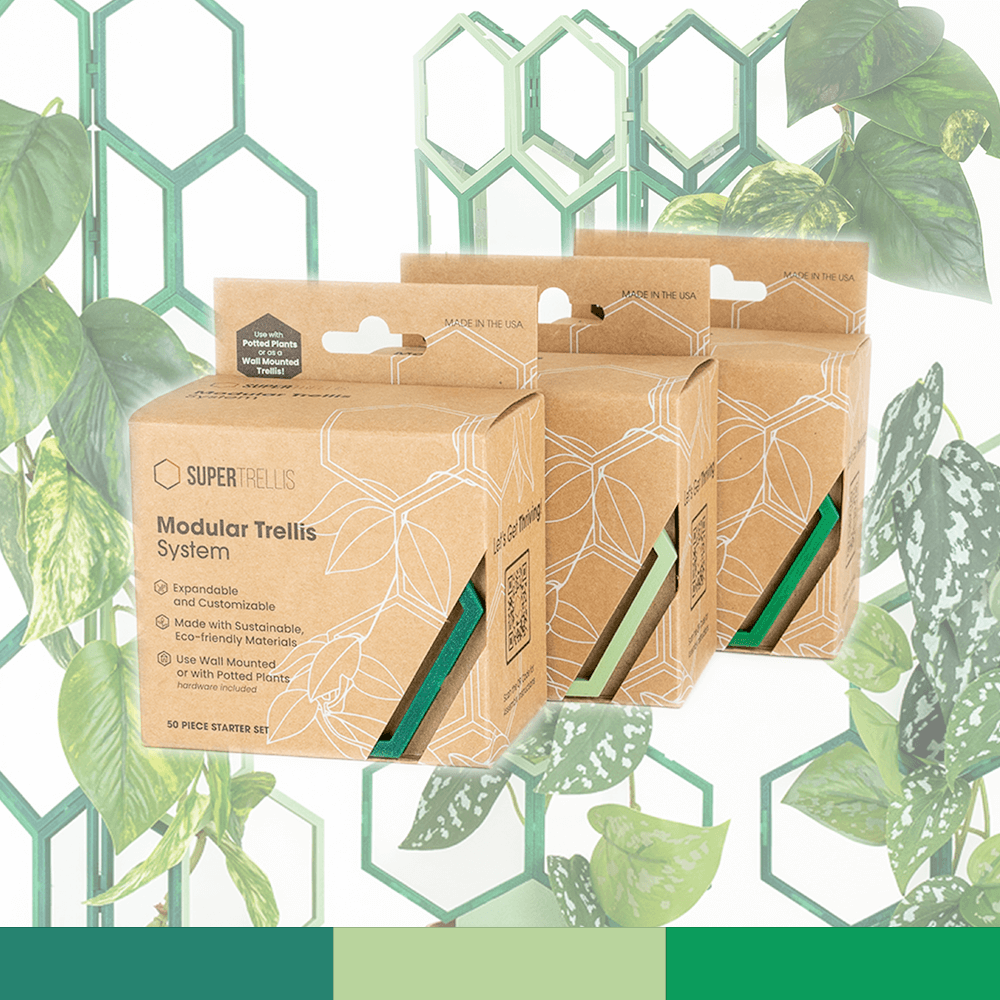 Forest - Green Tea - Plant Green (3-Pack) - Super Trellis