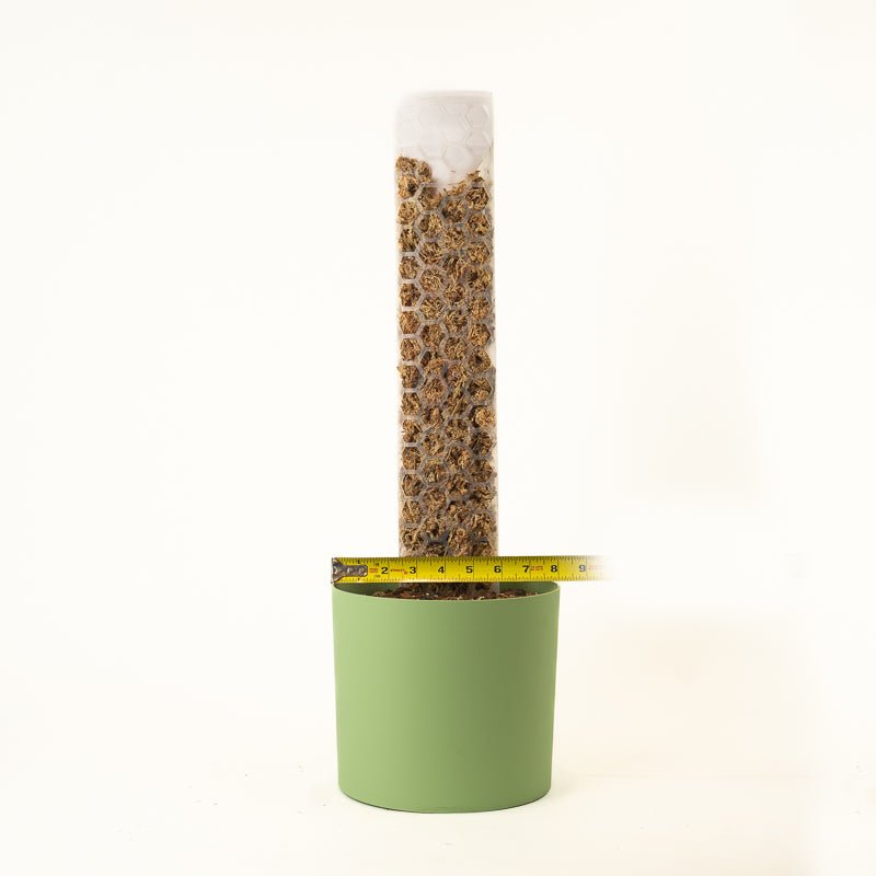 super moss pole Hexi Pole