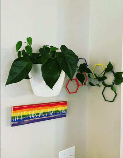 Pride Wall Kit - Super Trellis