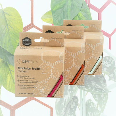 Spring Colors - 3 Pack - Super Trellis