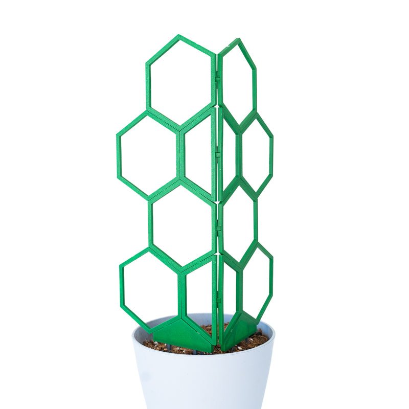 plant stand with trellis Starter Pack