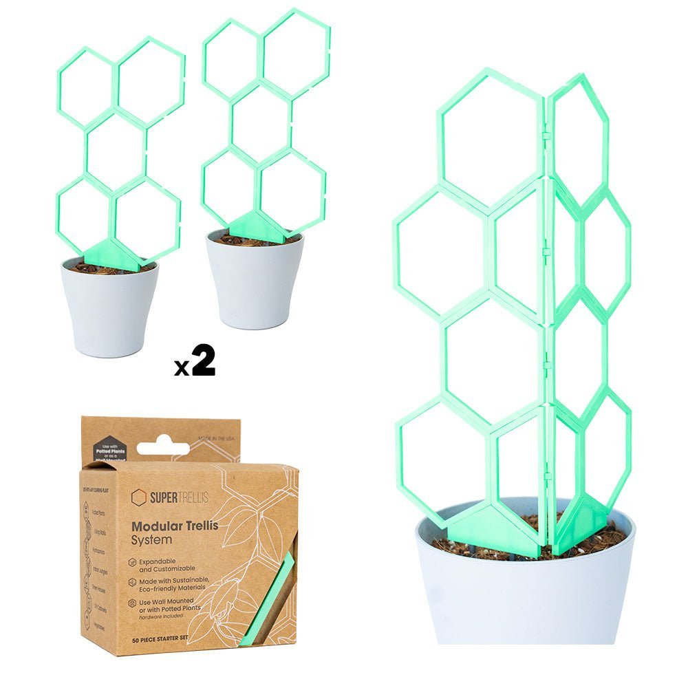 Starter Pack 2.0 - Super Trellis