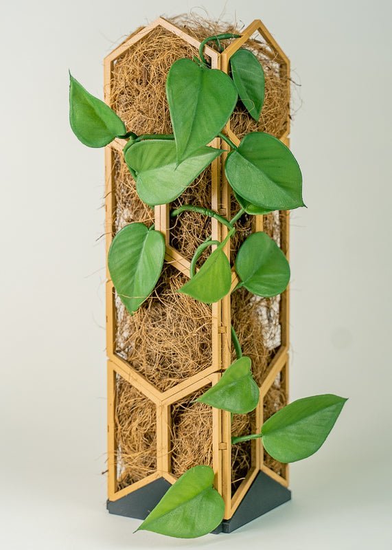 trellis with hanging plants Tower Pack