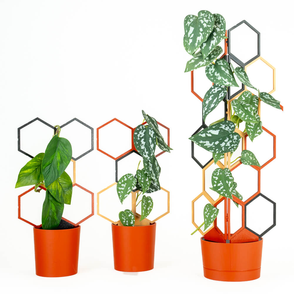 wooden trellis indoor Tuscany - Wood
