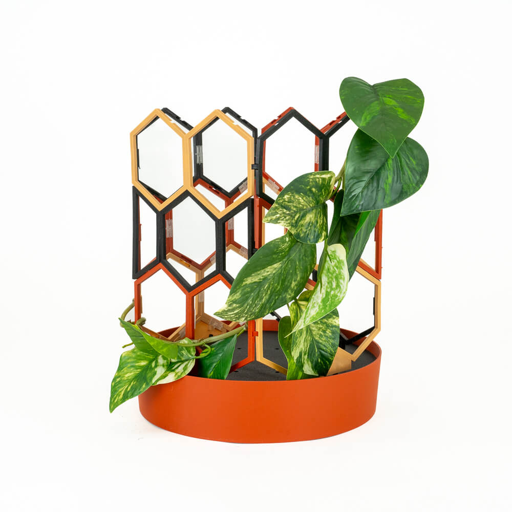 wood trellis kit Tuscany - Wood