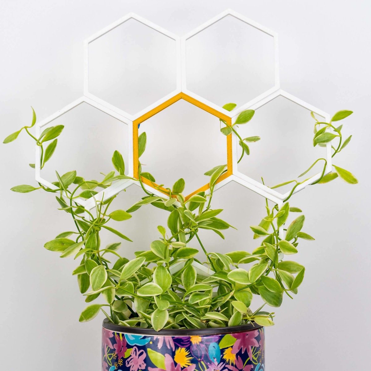 white trellis with planter White and Gold