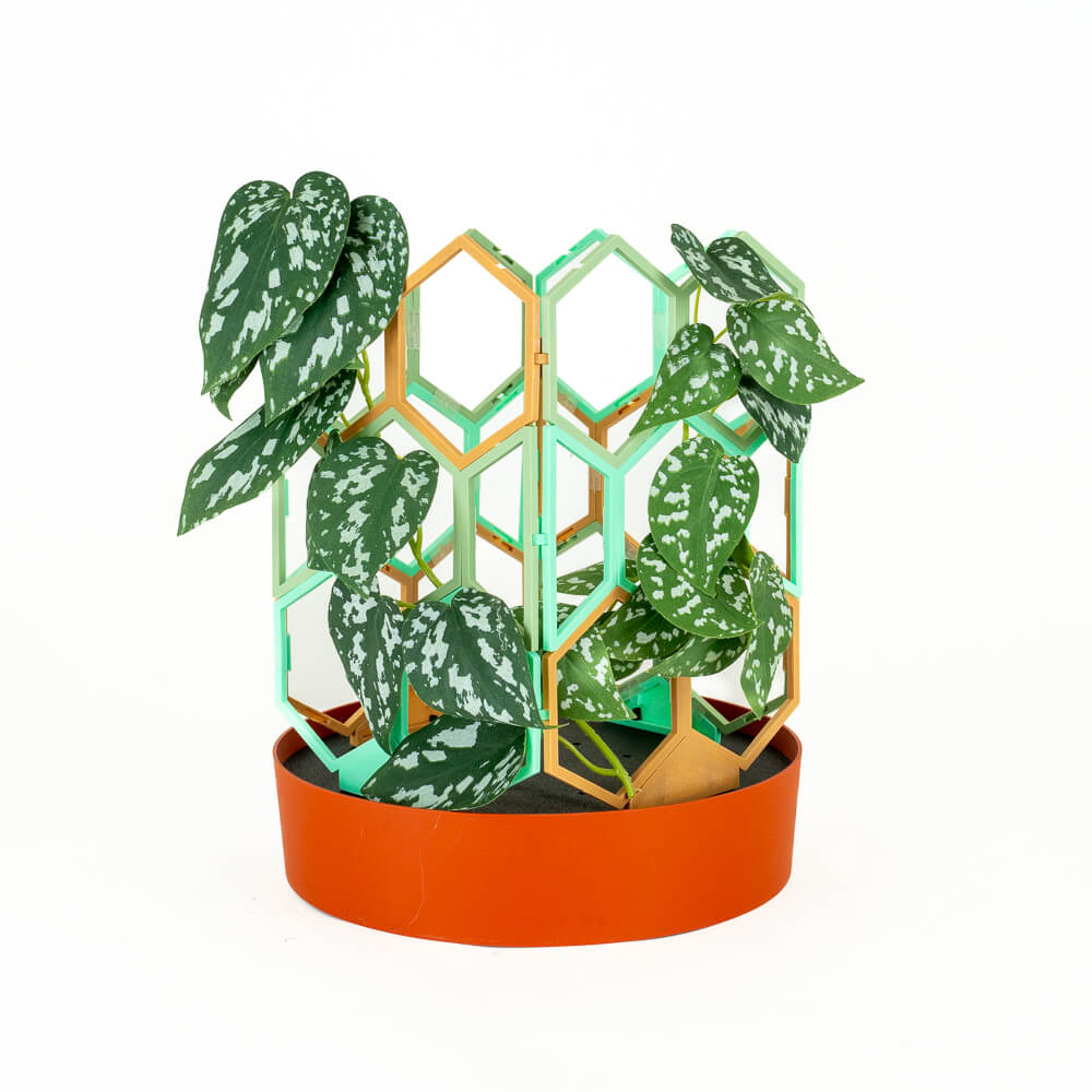 green wooden trellis Wood - Green Tea