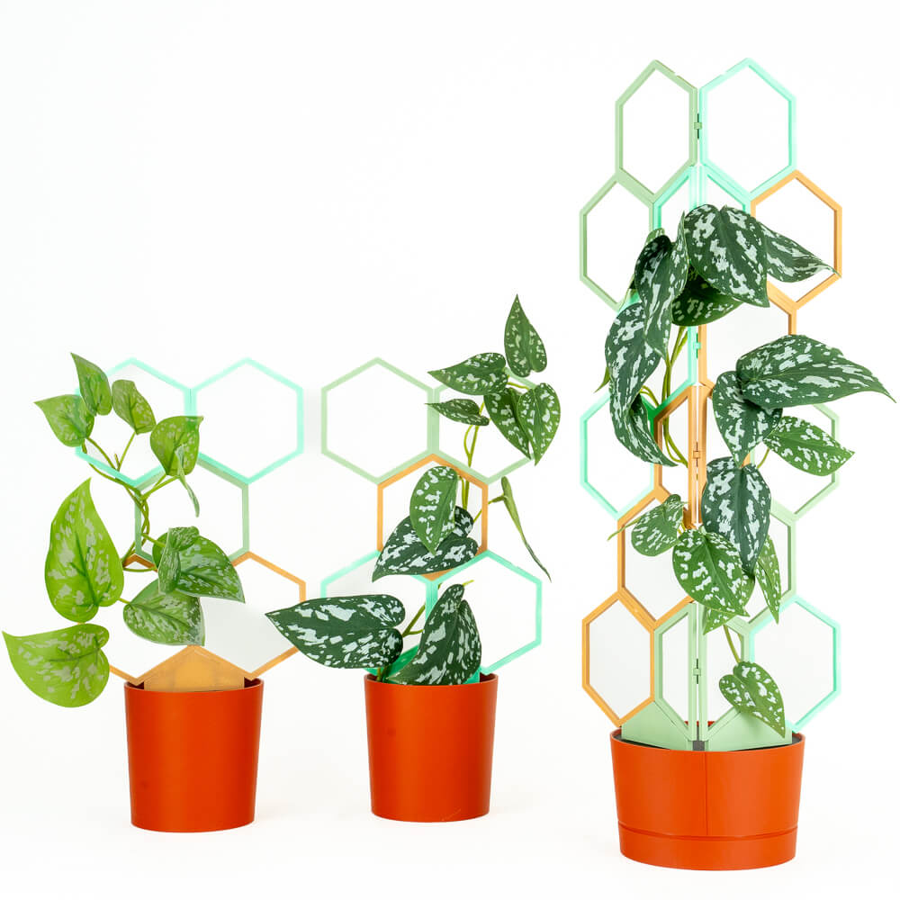 green wooden trellis Wood - Green Tea